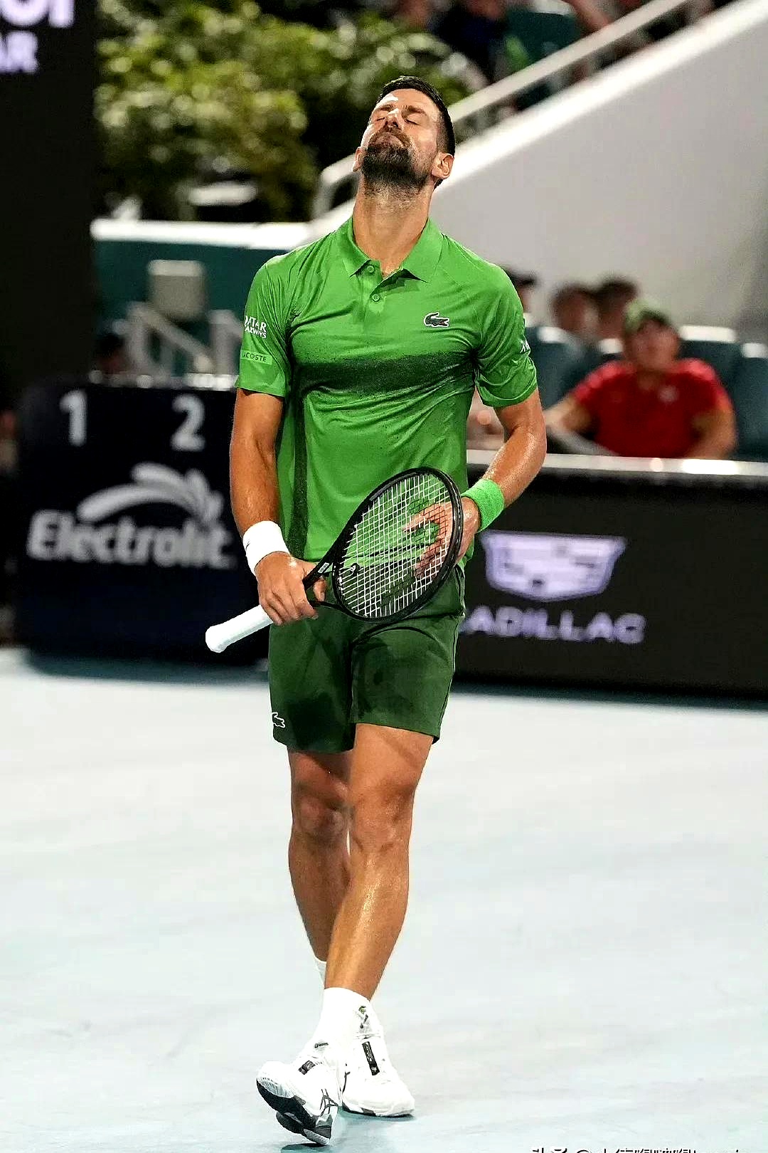 开云体育-德约科维奇新星夺冠表现突出，巴黎圣日耳曼前途光明！的简单介绍